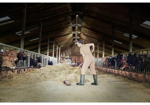 Osram - Corp de iluminat LED industrial de tavan HIGHBAY/80W/230V/6500K 23x23 cm IP65