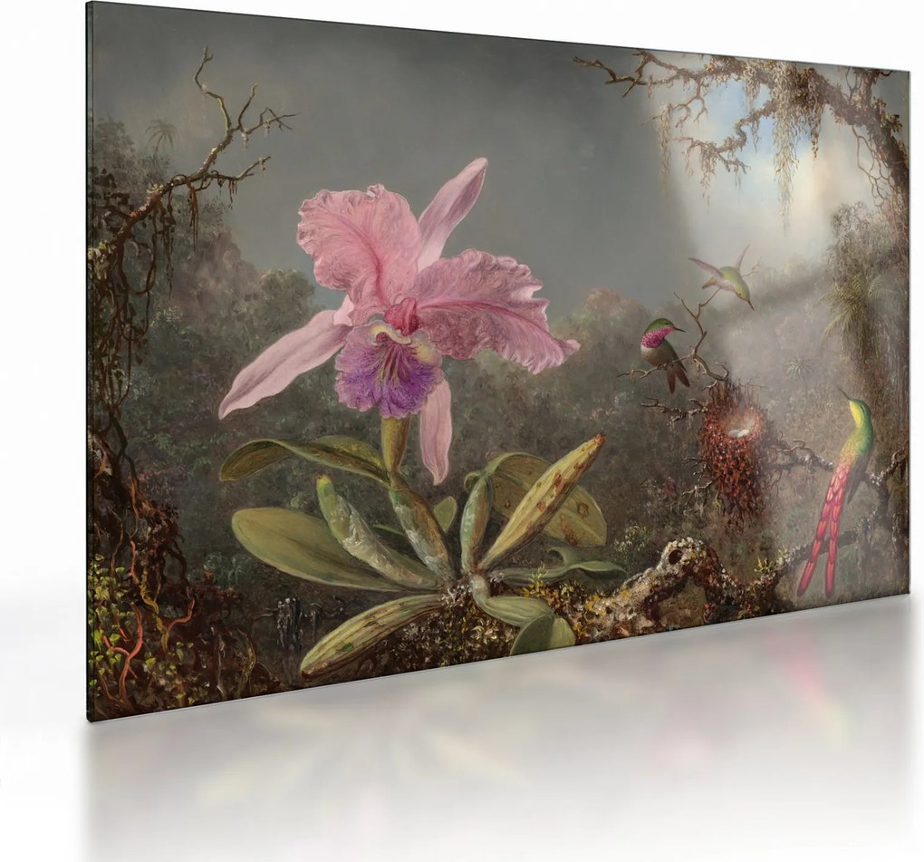 Tablou pe sticlă - Martin Johnson Heade, Cattleya Orchid and Three Hummingbirds, reproducere (70x50 cm)