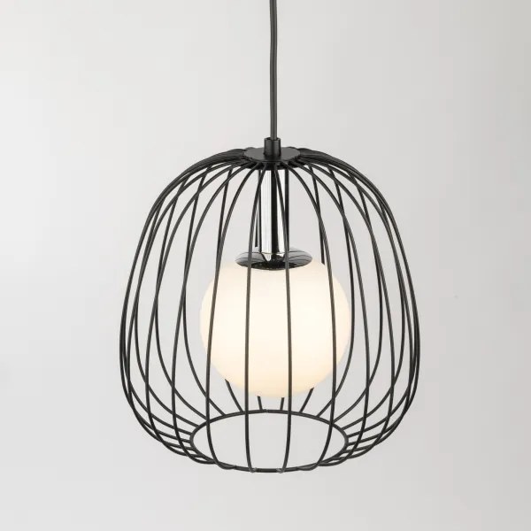 Lustră pe cablu BELL 1xG9/12W/230V d. 24 cm negru/crom lucios