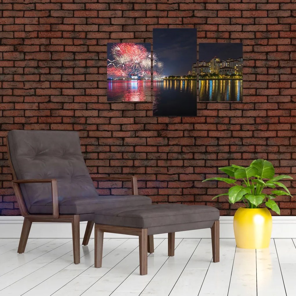 Tablou cu artificii in Singapur (90x60 cm)