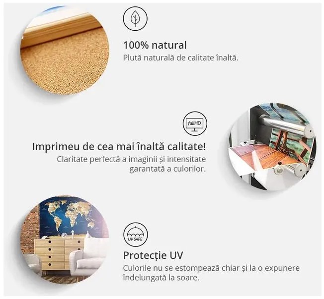 Tablou din plută - Human's Kingdom [Cork Map]