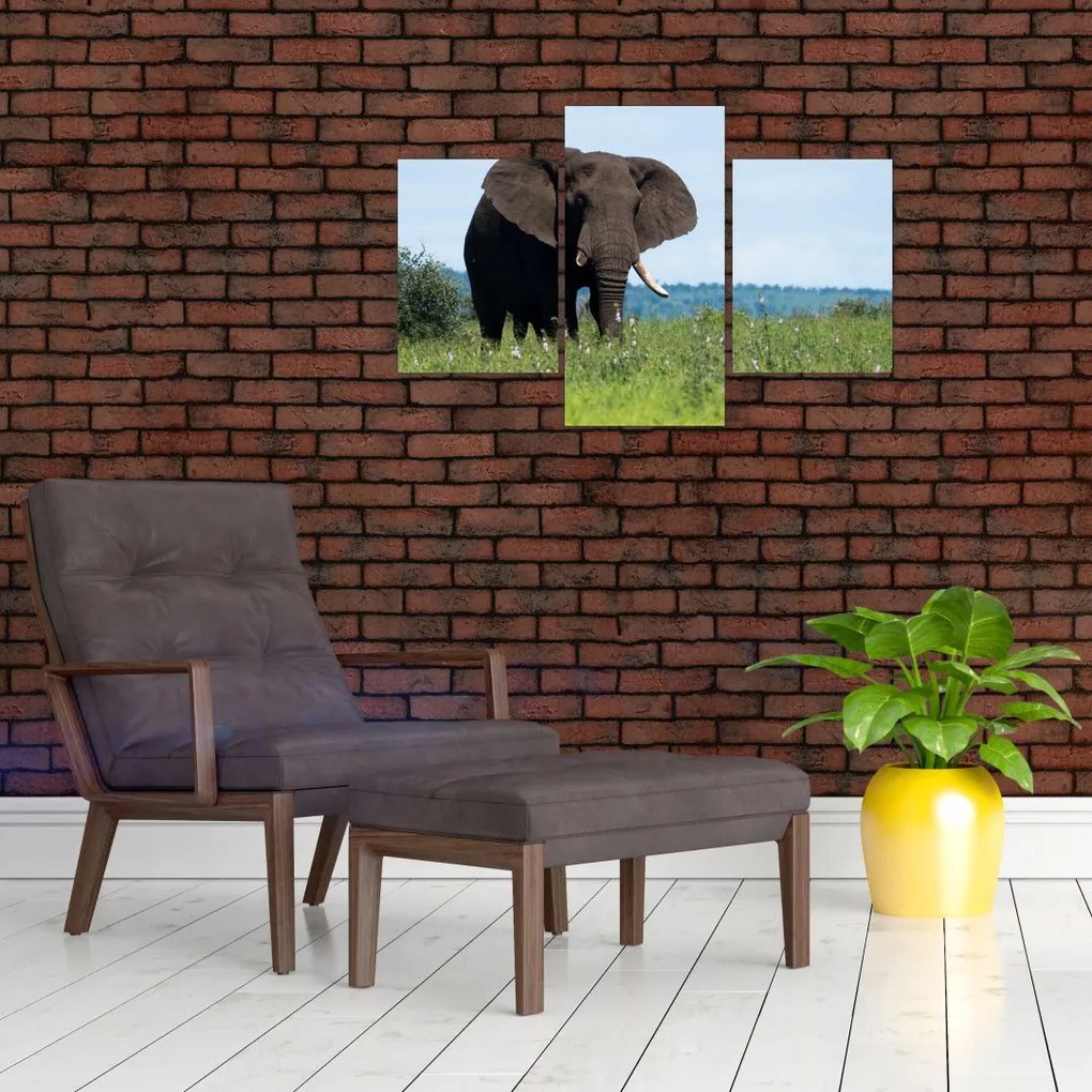 Tablou cu elefant (90x60 cm)