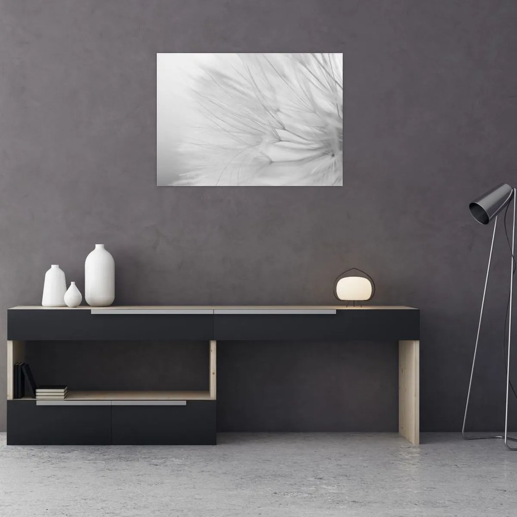 Tablou - Dandelion (70x50 cm)