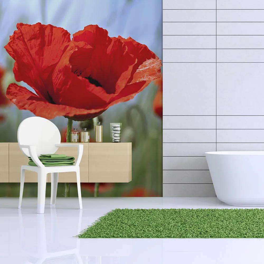Fototapet Bimago - Intense red poppies + Adeziv gratuit 200x154 cm
