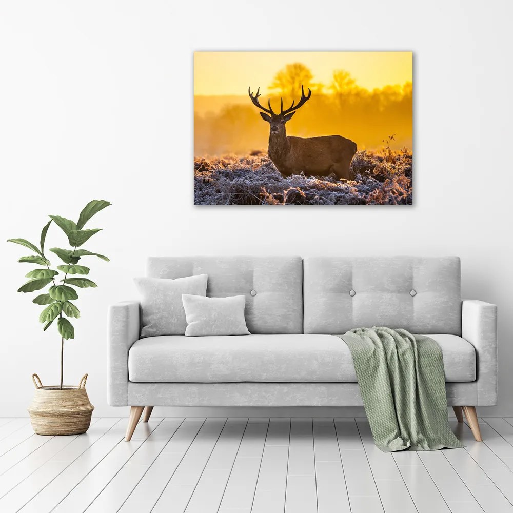 Print pe canvas Sunrise deer