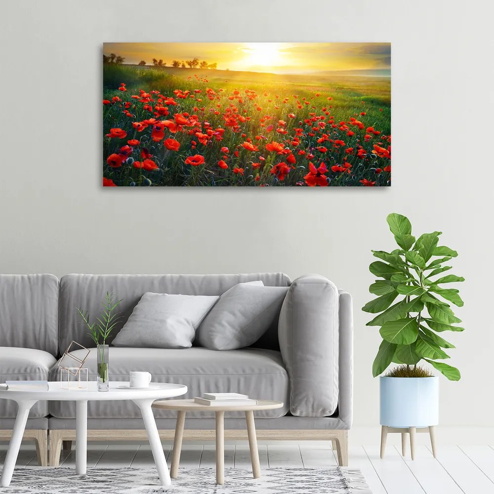 Imprimare tablou canvas Câmp de maci