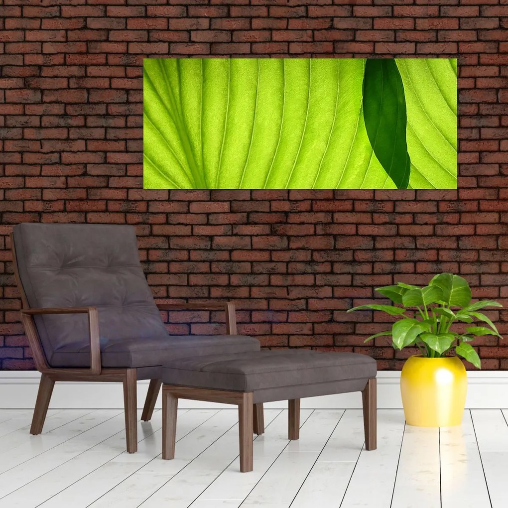 Tablou - Detaliu de frunză verde (120x50 cm)