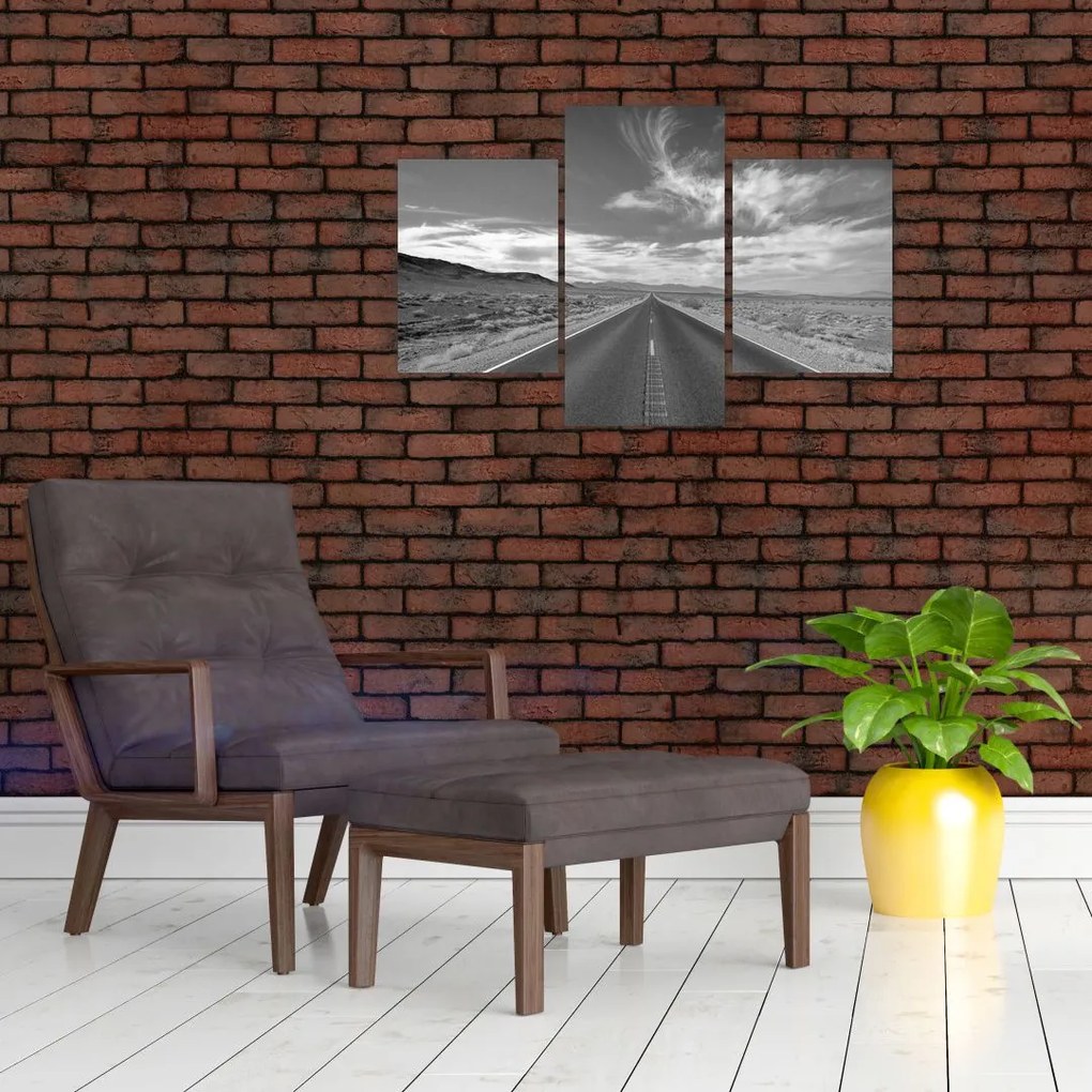 Tabloul cu autostrada (90x60 cm)