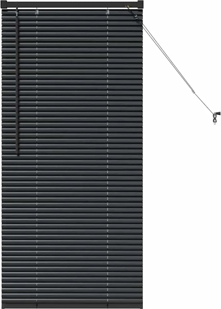 vidaXL Jaluzele venetiene Manual Negru 60 x 2,5 x 130 cm Aluminiu