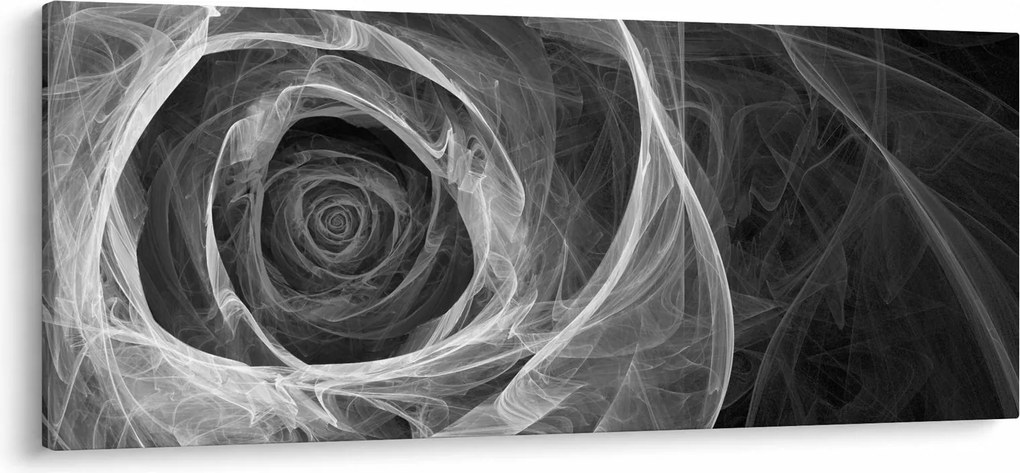 Tablou - Abstract trandafir negru și alb (120x50 cm)