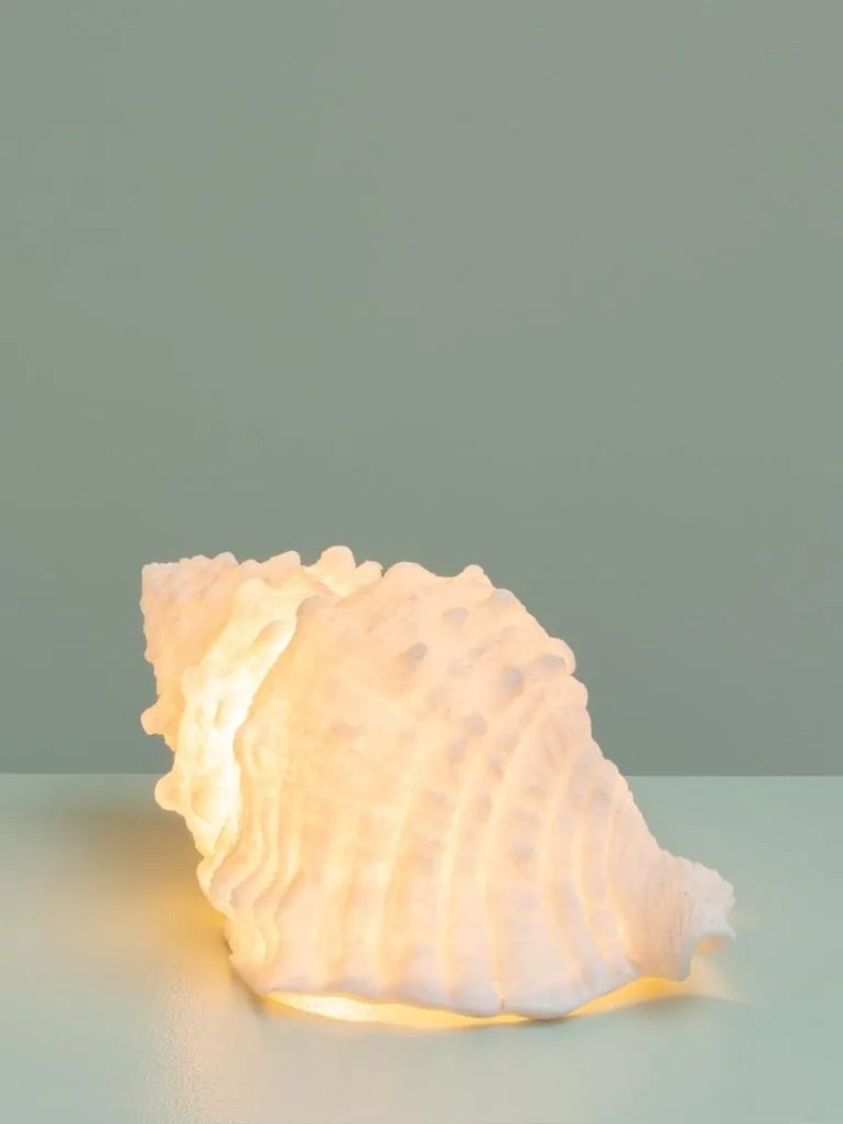 Lampa de masa in forma de scoica , din rășină si pulbere de piatra , "Shell"