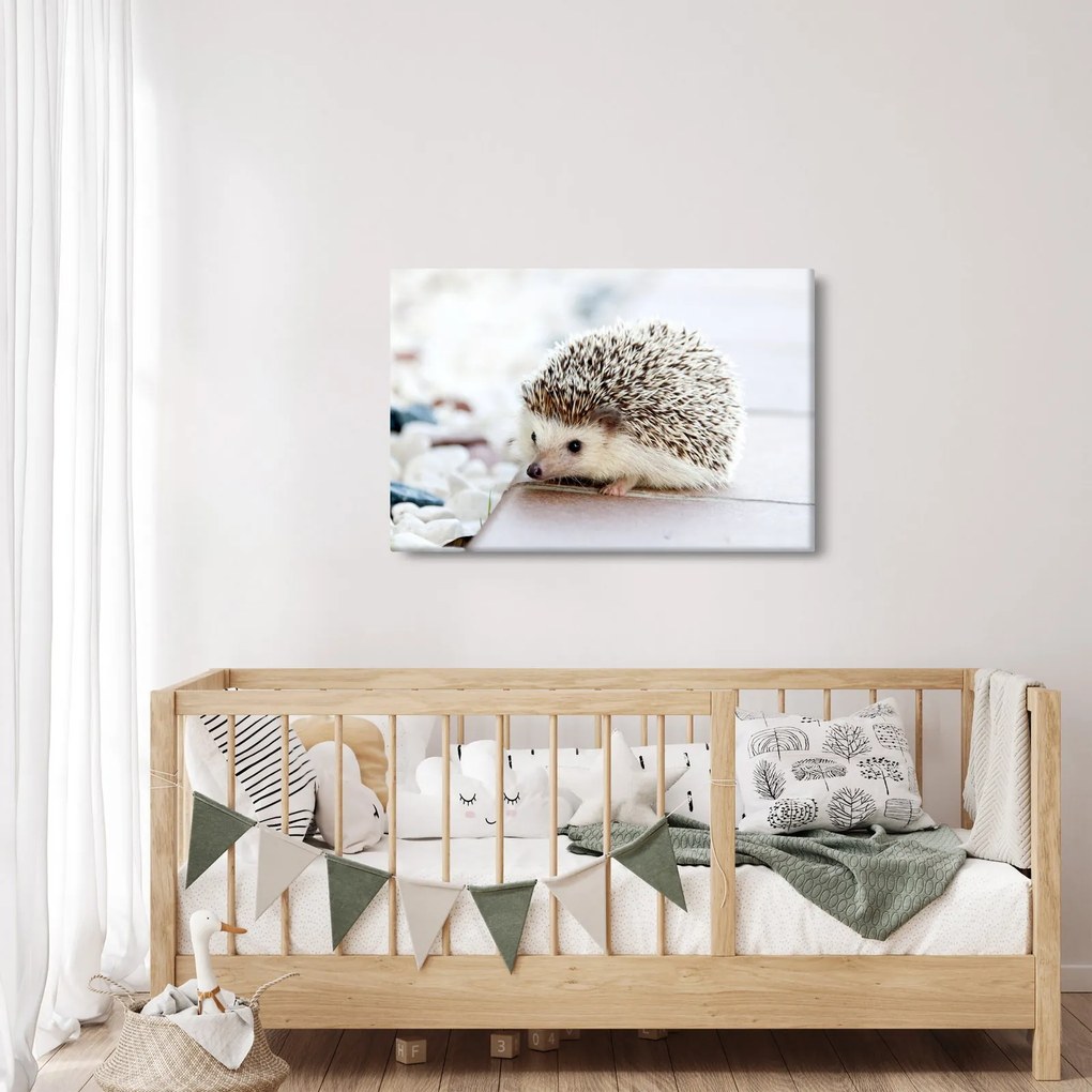 Tablou cu arici (90x60 cm)
