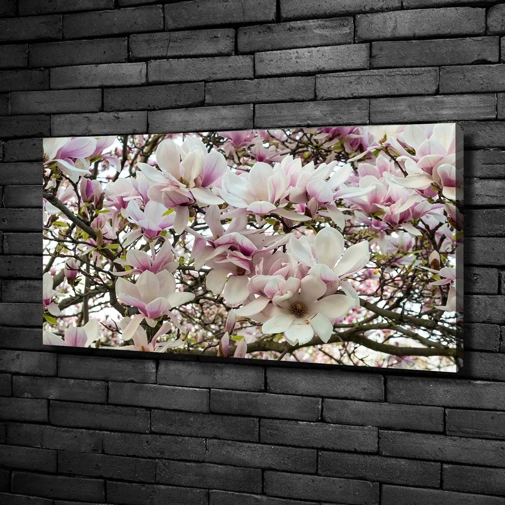 Tablouri tipărite pe pânză Flori magnolia