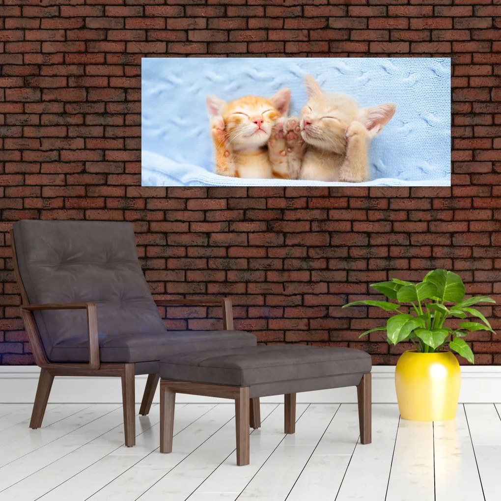 Tablou - Pisicuțe adormite (120x50 cm)