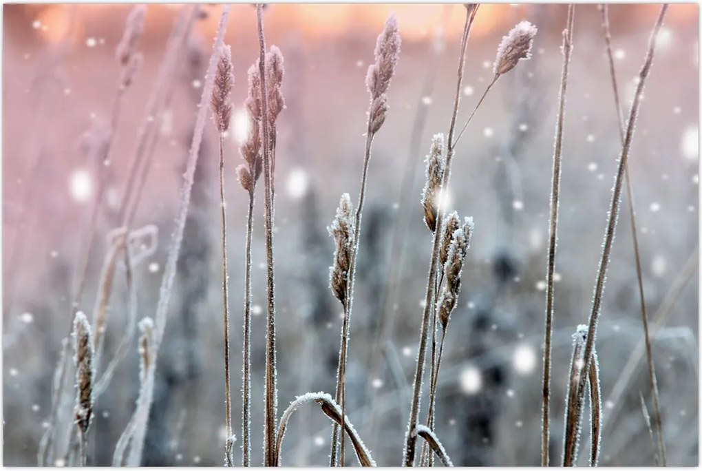 Tablou - Peisaj de iarnă (90x60 cm)