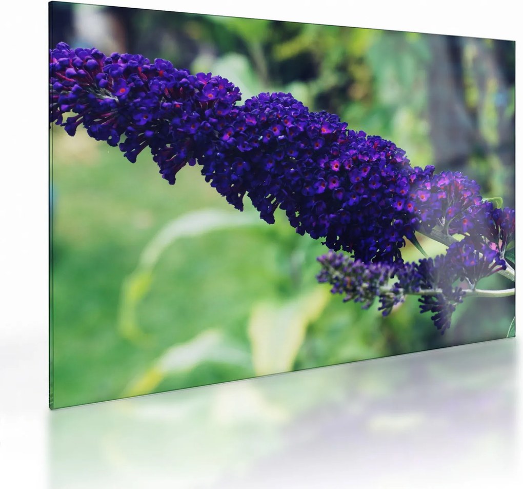 Tablou pe sticlă cu floare albastră (70x50 cm)