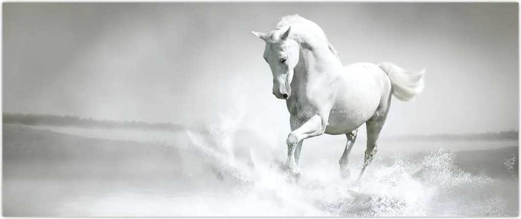 Tablou - Cal alb (120x50 cm)