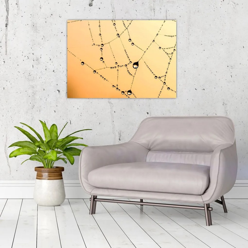 Tablou pe sticlă cu pânză de pâianjen cu rouă (70x50 cm)