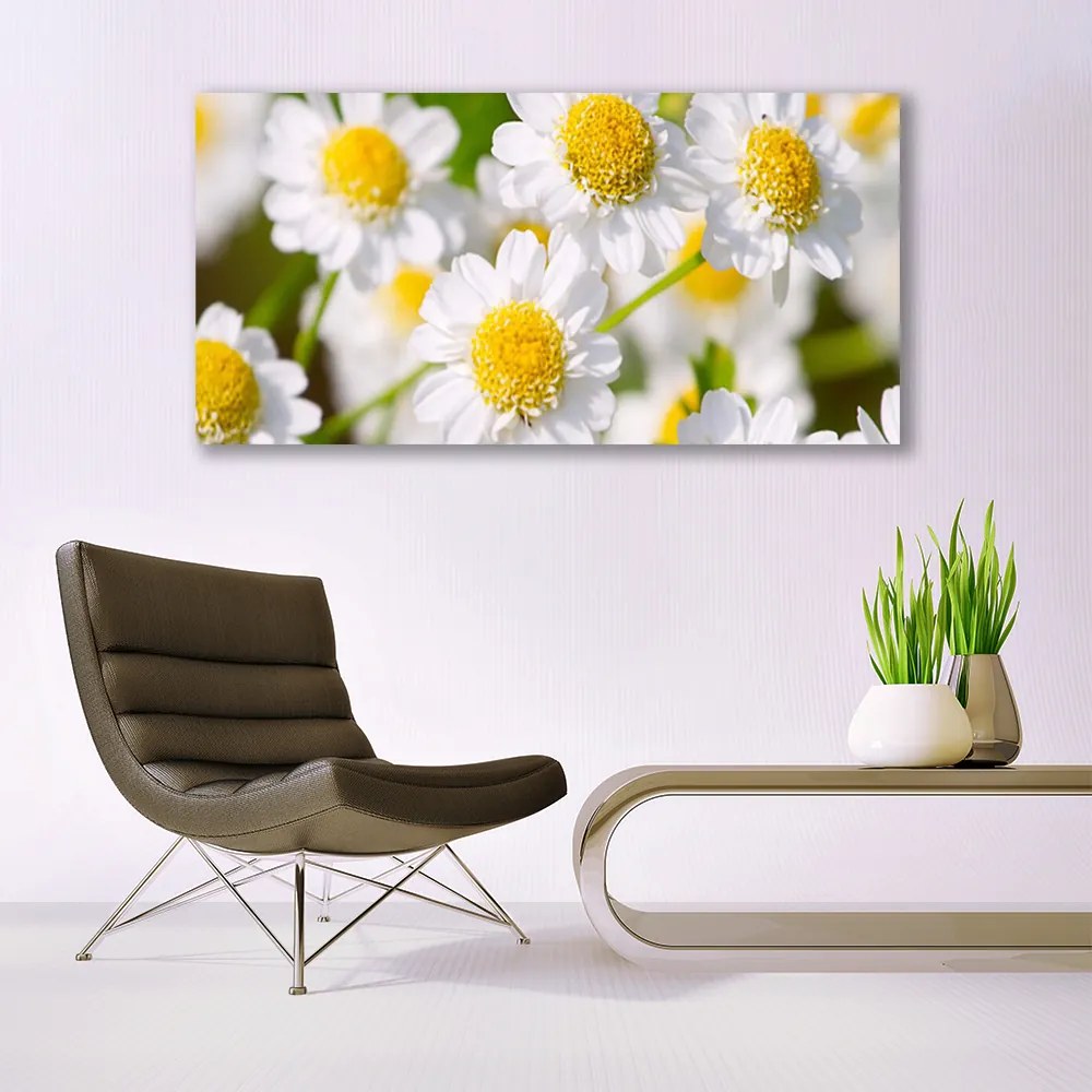 Tablou pe panza canvas Daisy Floral Galben Alb