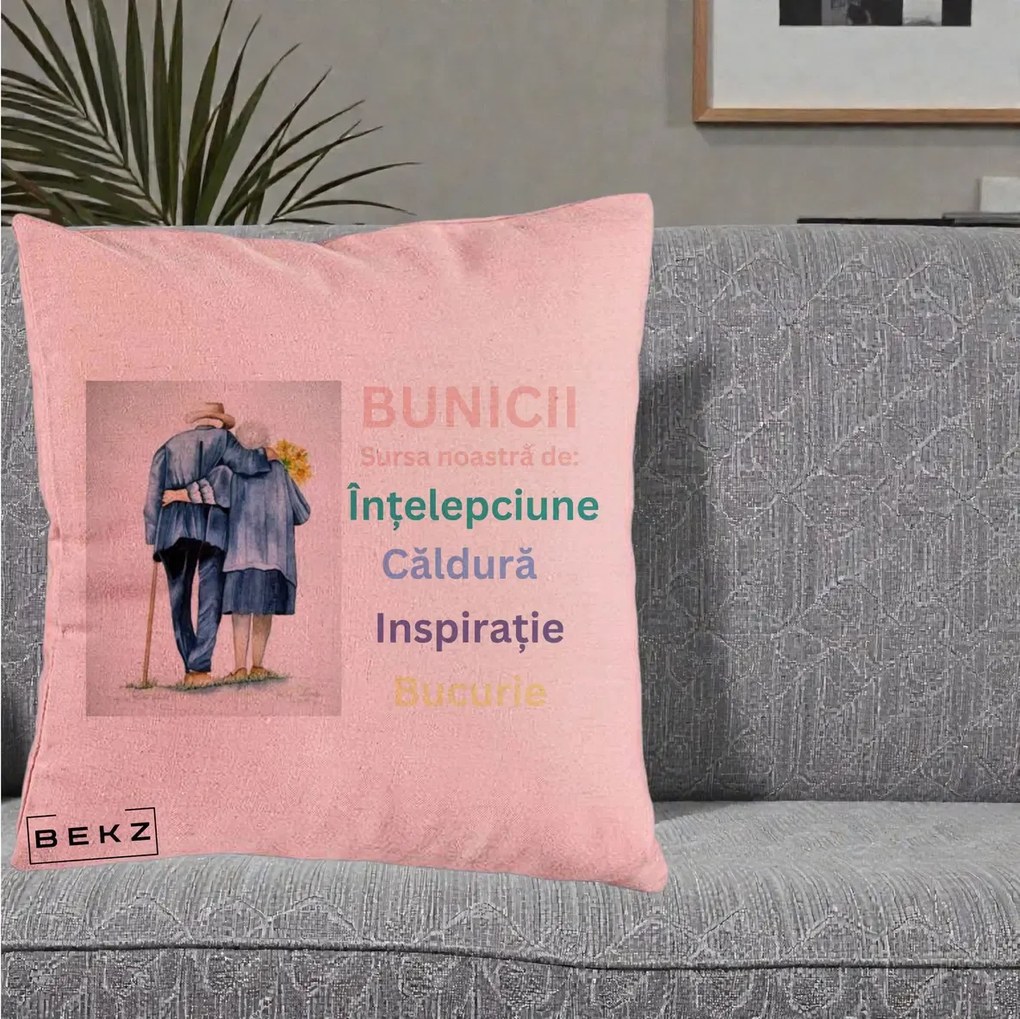 Cadou pentru Bunici - Perna Personalizata Bunicii Sursa Intelepciune Caldura Acuarela, 40x40 cm, Roz, Husa Detasabila, Perna Inclusa, BEKZ®