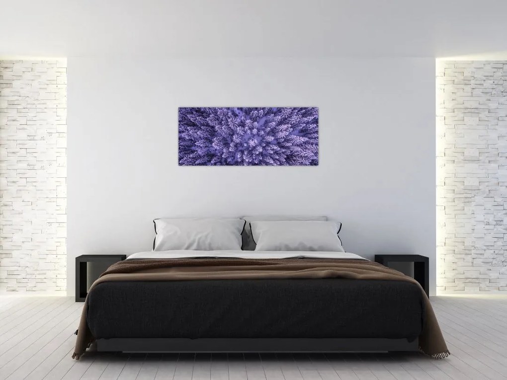 Tablou cu copacii înzăpeziți (120x50 cm)