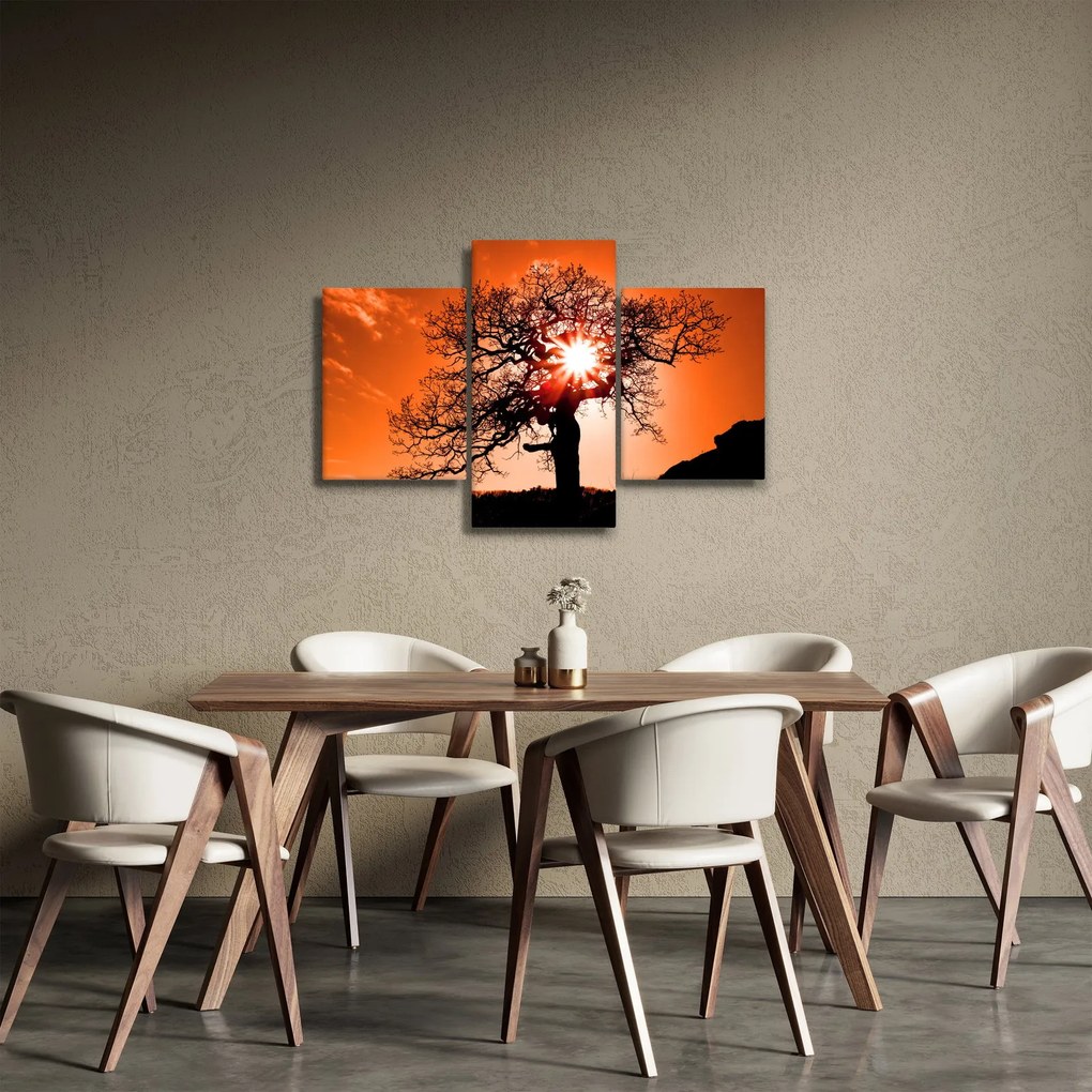 Tablou - Fag la apus de soare (90x60 cm)