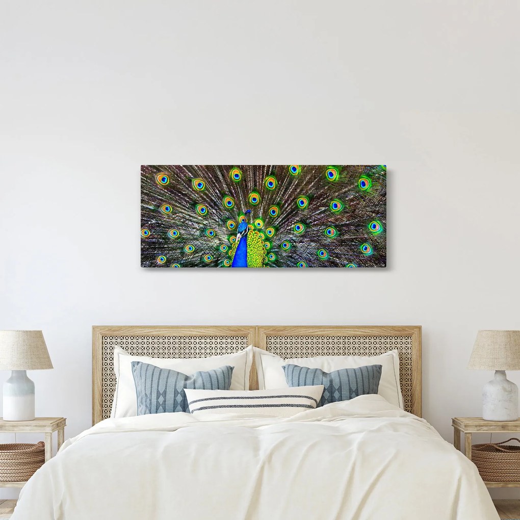 Tablou - Păun (120x50 cm)