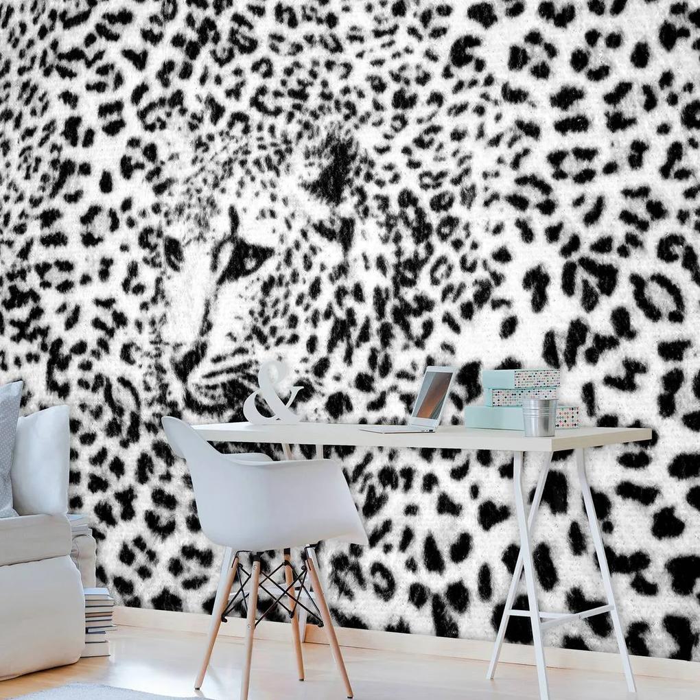 Fototapet - Albnegru gepard (152,5x104 cm), în 8 de alte dimensiuni noi