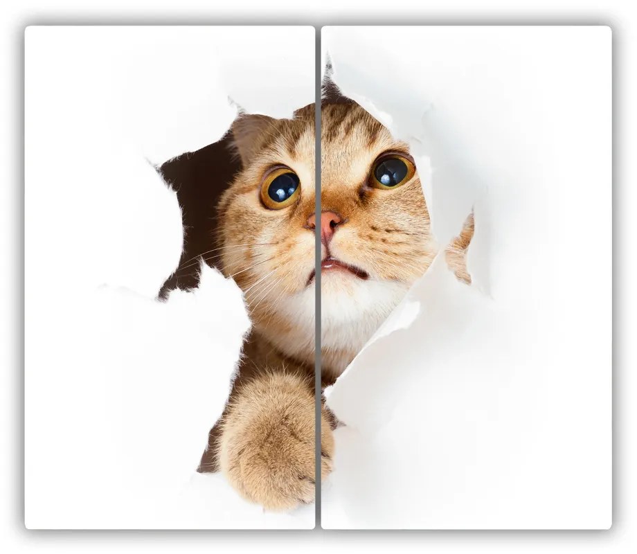 Tocator din sticla Cat în gaura
