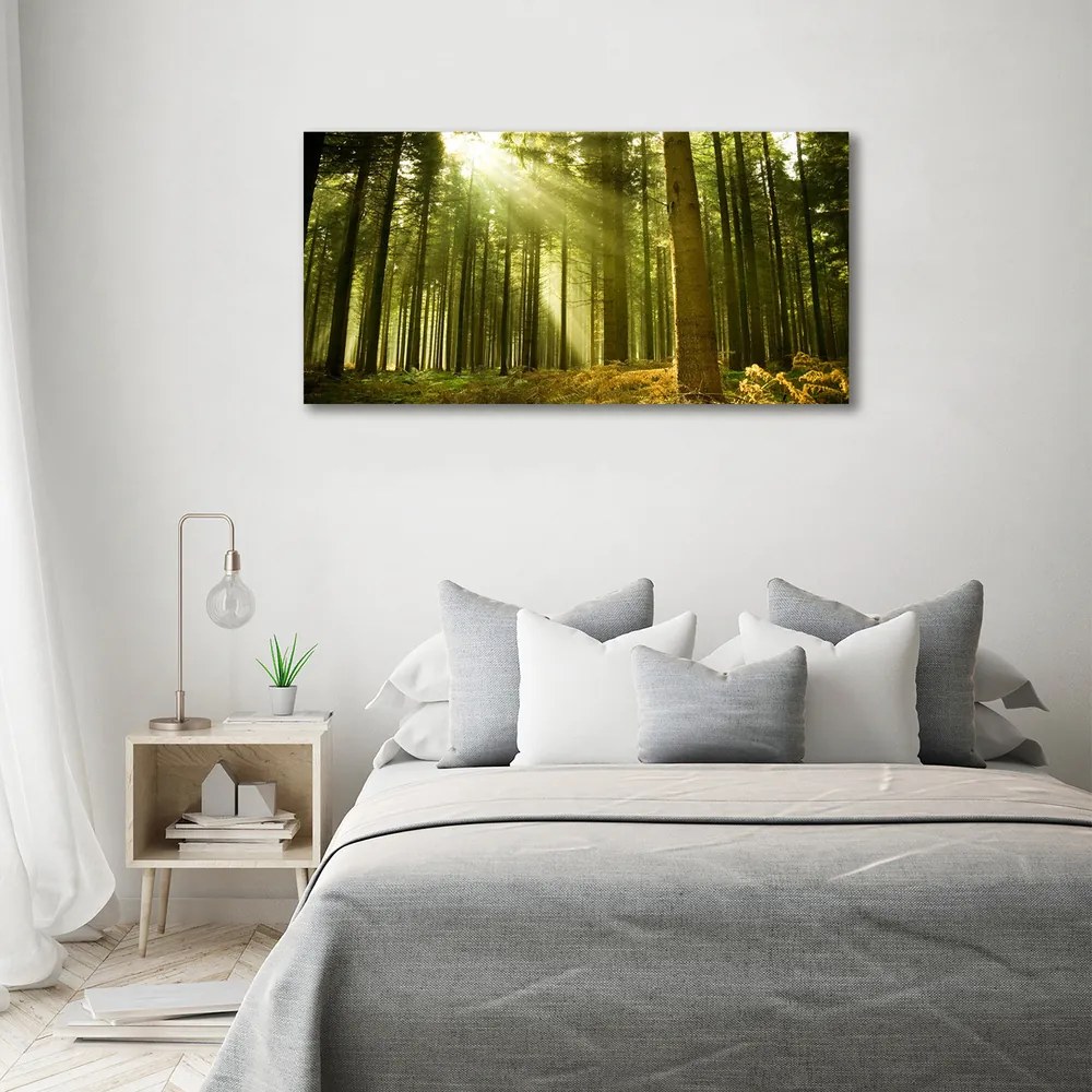Print pe canvas O pădure de pini