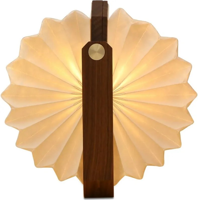 Decorațiune luminoasă albă/în culoare naturală închisă cu USB Origami – Gingko