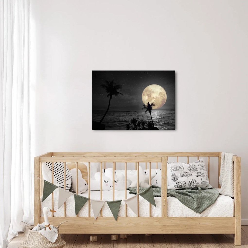Tablou - Plaja cu lună plină, nuanțe gri (70x50 cm)