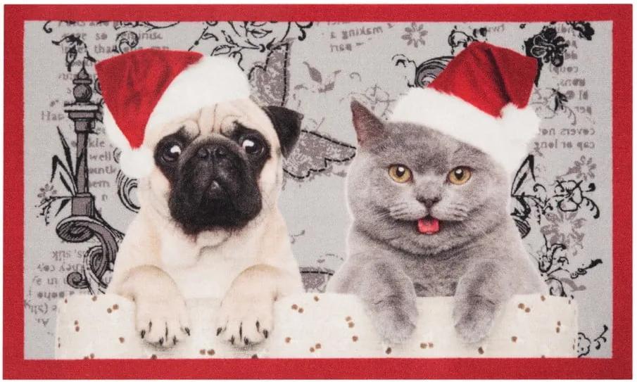 Preș Zala Living Christmas Cat and Dogs, 45 x 75 cm