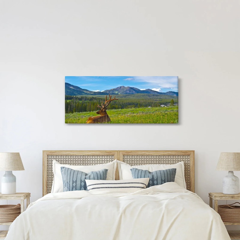 Tablou - Cerb în luncă (120x50 cm)