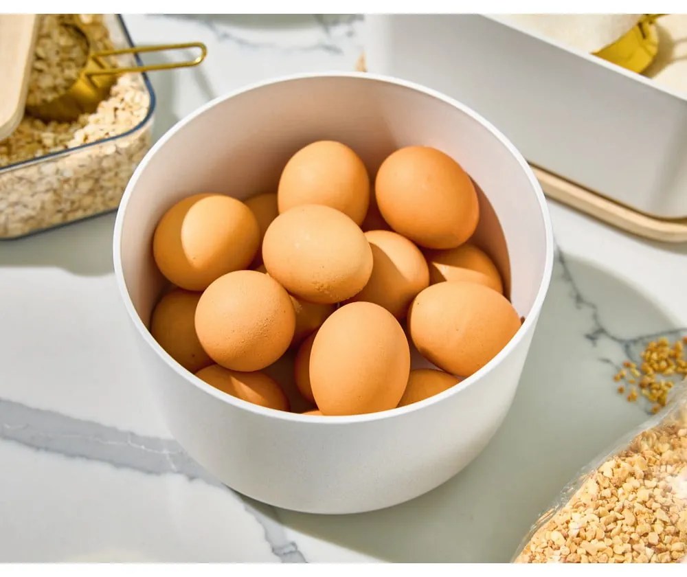 Recipient de alimente – iDesign
