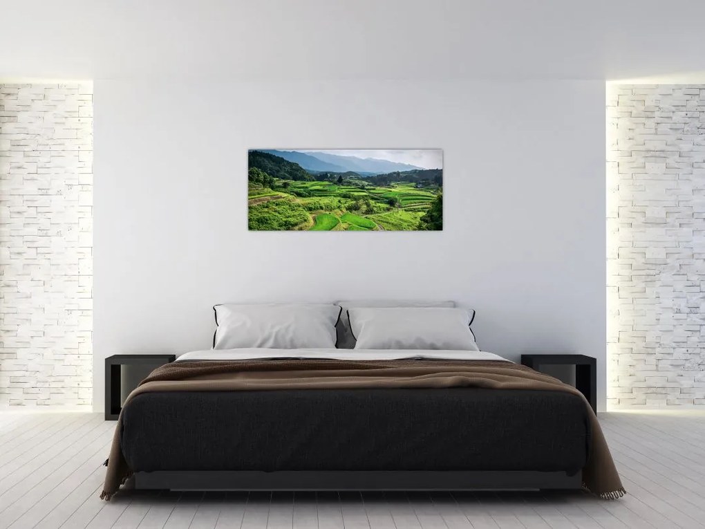 Tablou cu câmp de orez (120x50 cm)