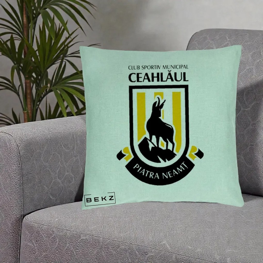 Perna Personalizata CSM Ceahlaul Piatra Neamt Fotbal, 40x40 cm, Verde Menta, Husa Detasabila, Perna Inclusa, BEKZ®