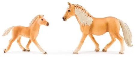 Grajd cu doi cai Faunica