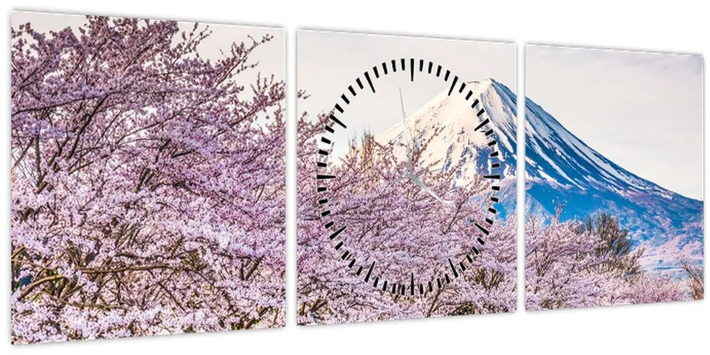 Tablou - Japonia în primăvară (cu ceas) (90x30 cm)