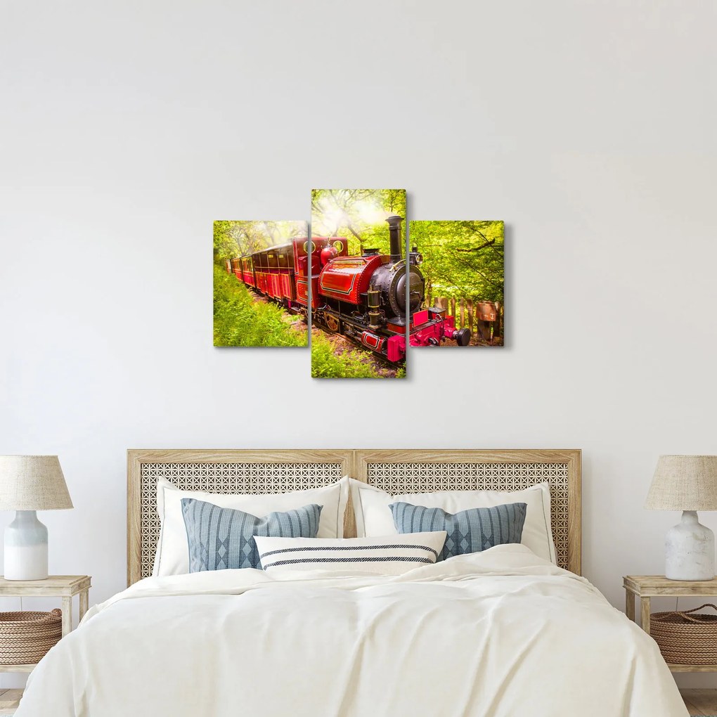 Tablou - Tren cu aburi (90x60 cm)