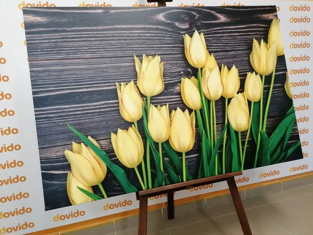 Tablou lalele fermecătoare pe fundal de lemn