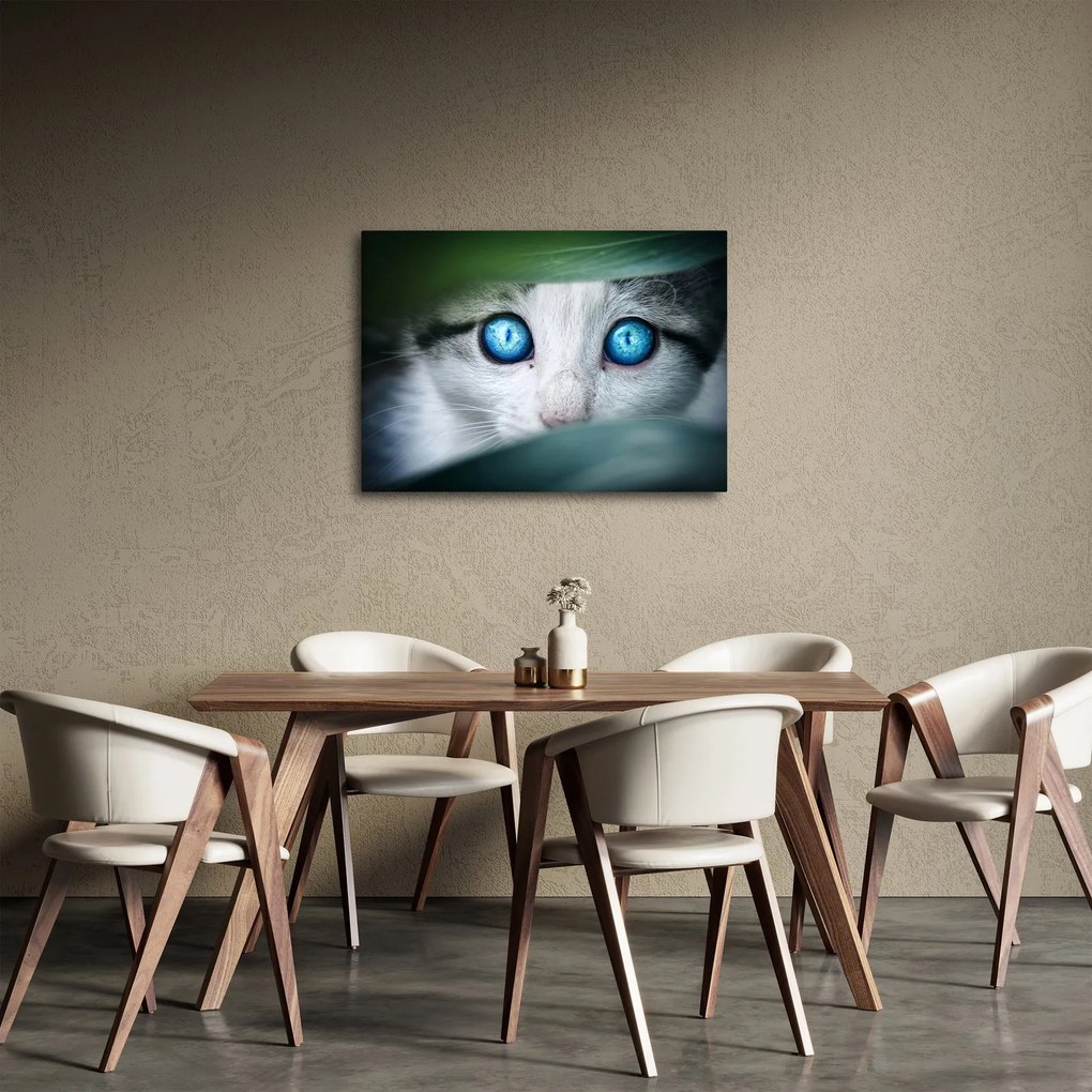 Tablou cu pisica (70x50 cm)