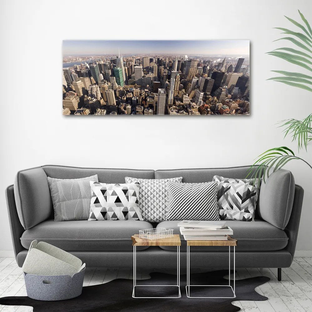 Tablou canvas New york pasăre de zbor
