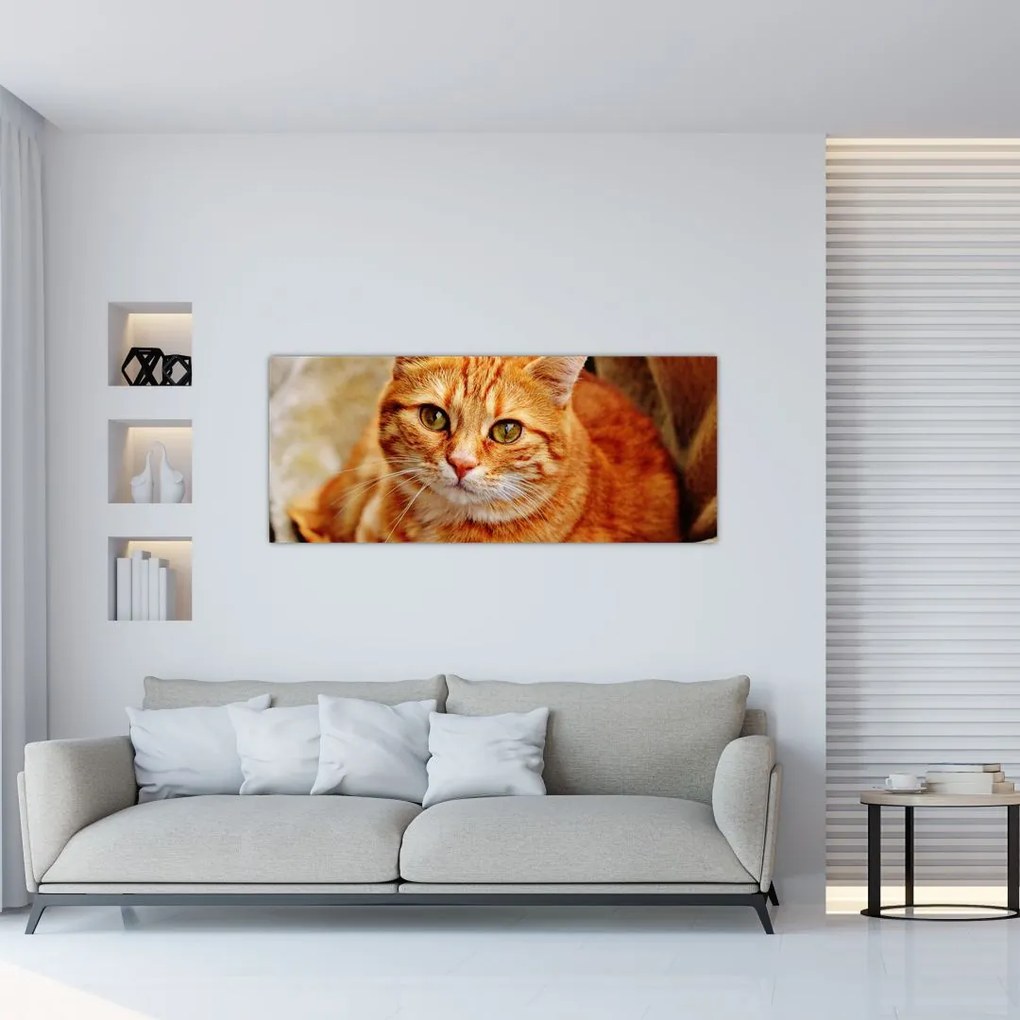 Tablou - Pisica tolenită (120x50 cm)