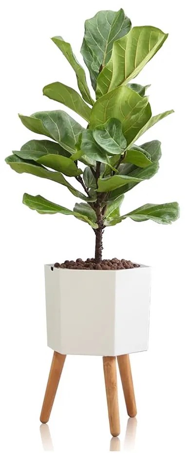 Ghiveci cu auto-udare Tomasucci Calla, ø 22,8 cm, alb