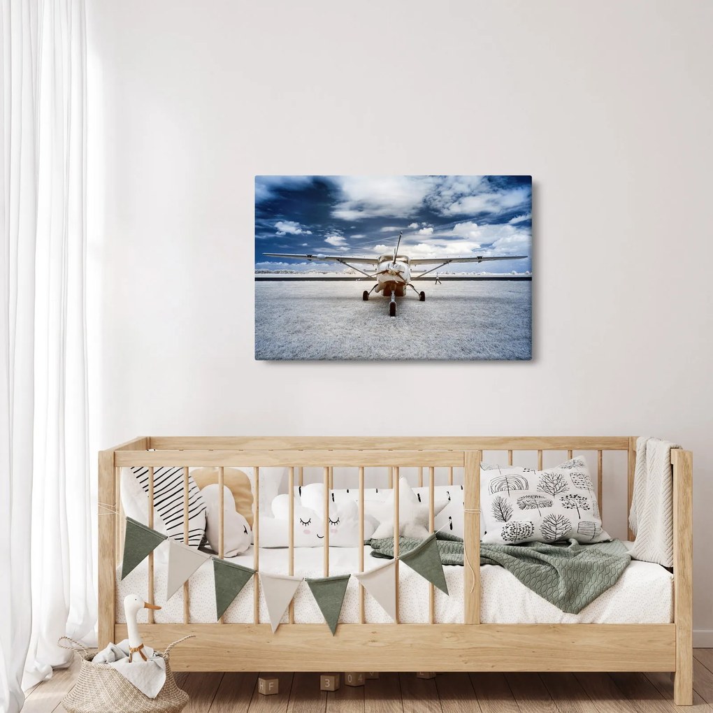 Tablou cu aeroplan cu motor (90x60 cm)