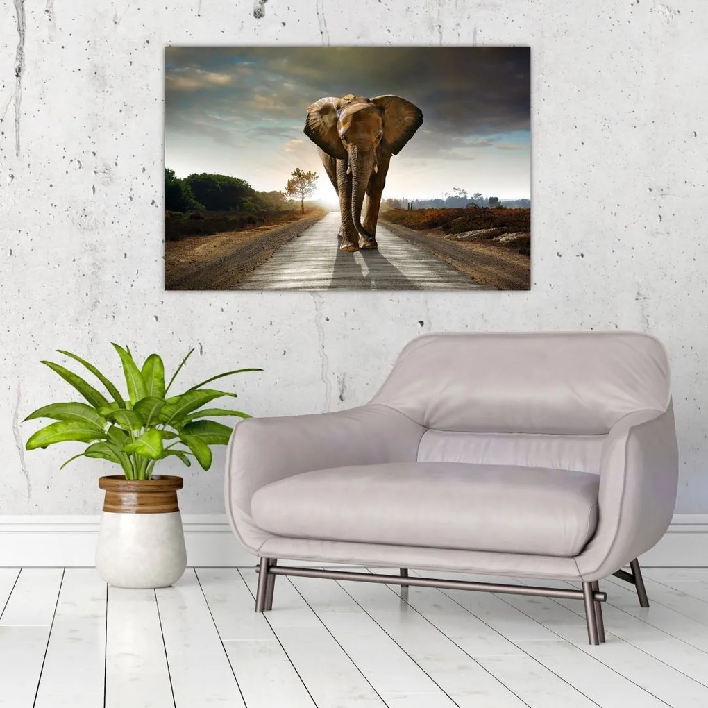 Tablou cu elefant (90x60 cm)