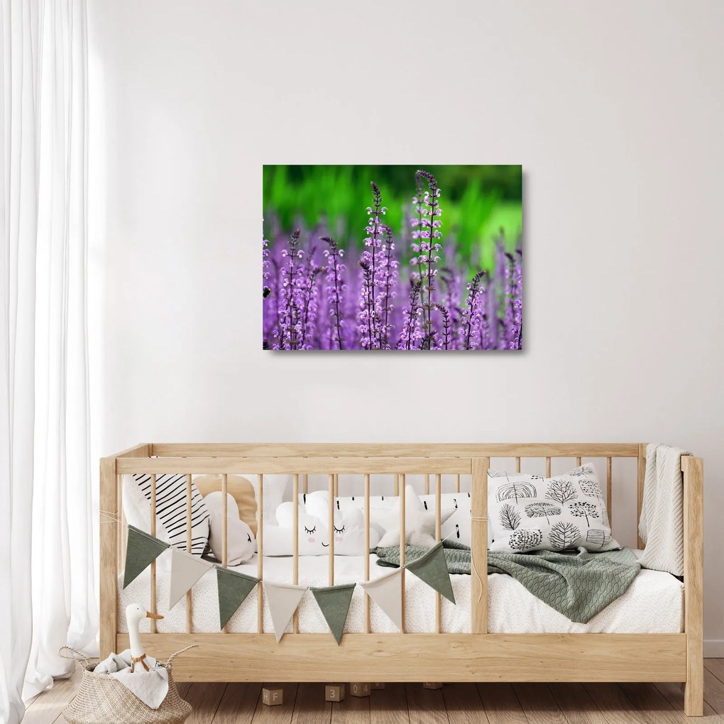 Tablou pe sticlă cu flori de luncă violete (70x50 cm)