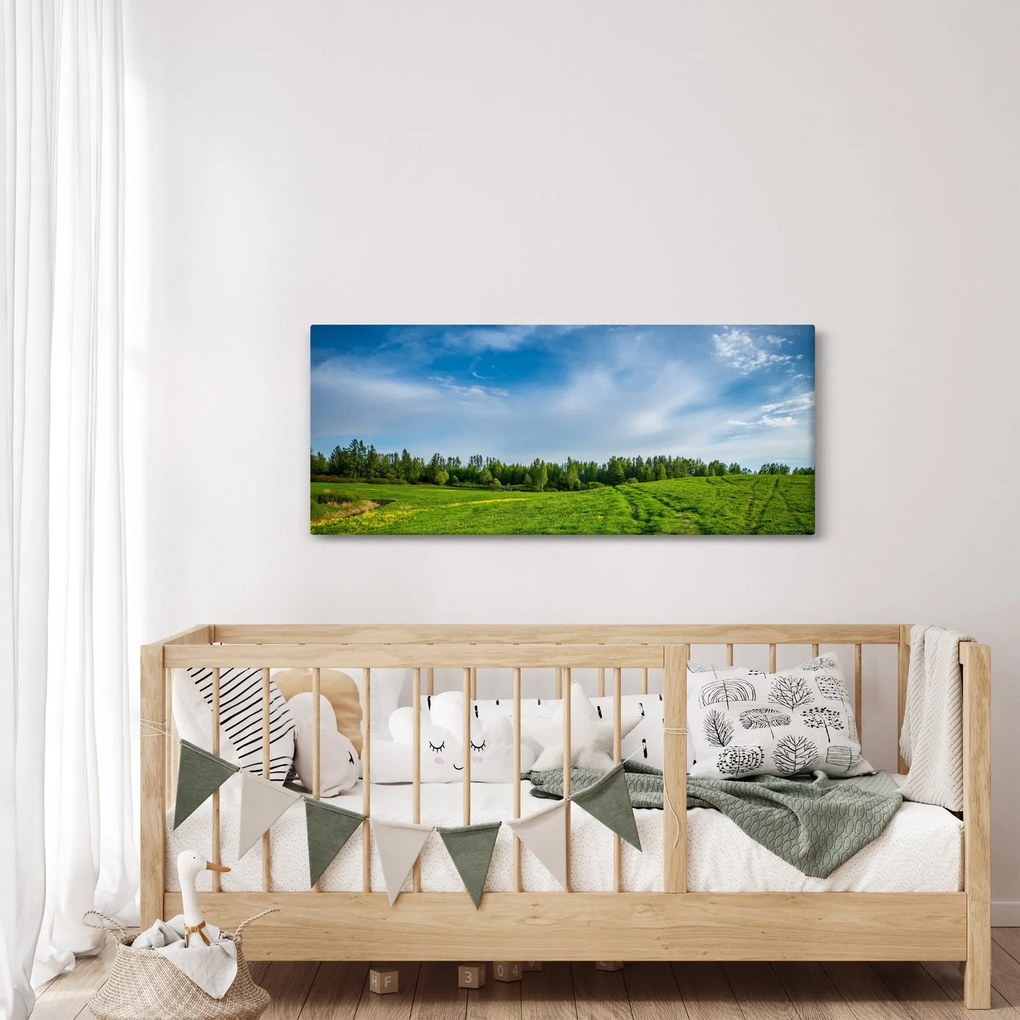 Tablou cu luncă (120x50 cm)