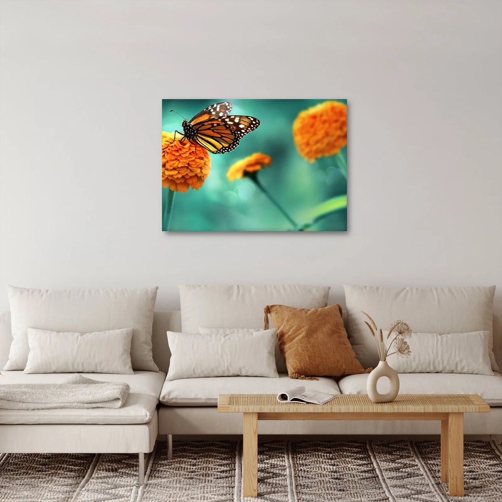 Tablou cu fluture (70x50 cm)